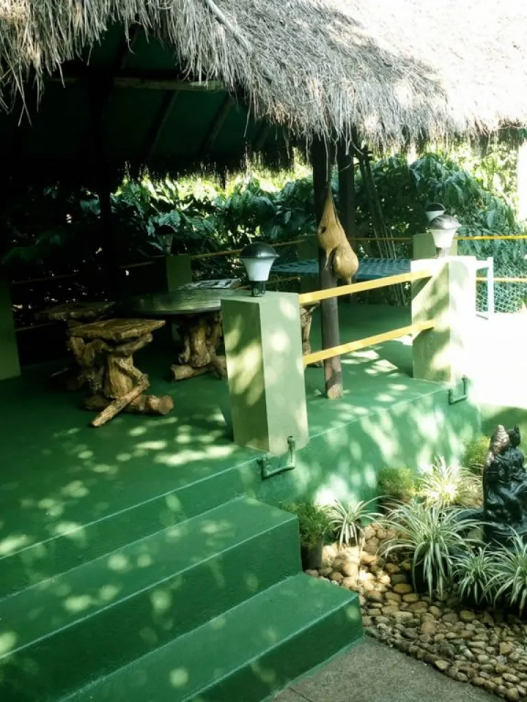 Relaxing outdoor space at Green Park Homestay